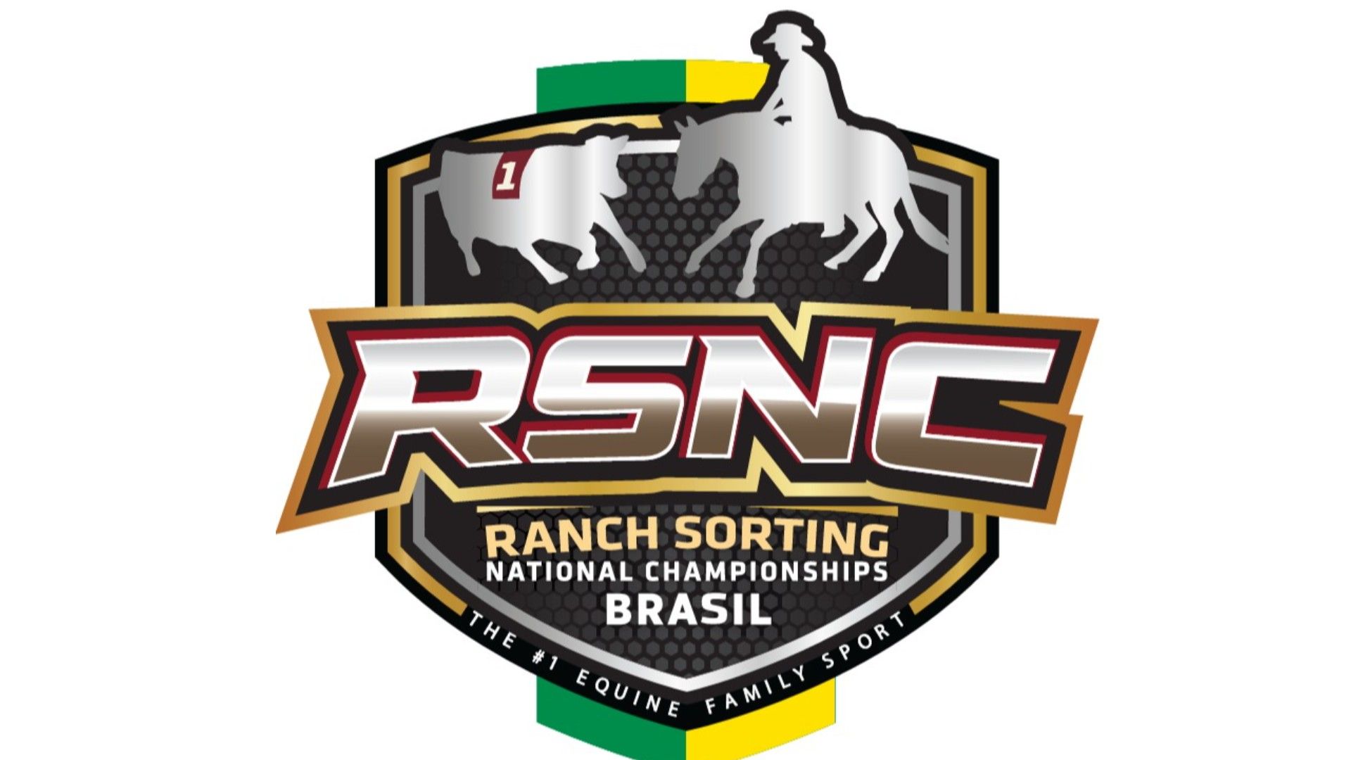 🏆 NACIONAL RSNC 2027
