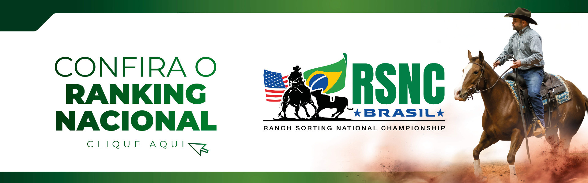 Banner RSNC